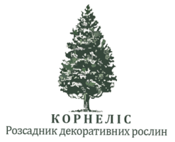 logo_KORNELIS