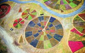 Жан Поль Ганем- художник, что рисует поле