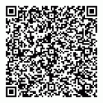 qr-code Коля-будфем