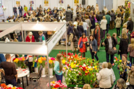 «Оптимизм среди участников и посетителей Flower Expo Ukraine 2016»