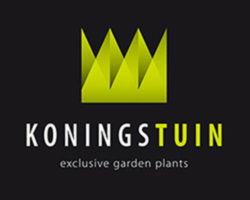 Питомник контейнерного производства растений Koningstuin BV
