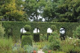 З фотоархіву особистих подорожей. Сад Jardin de la Pellerine