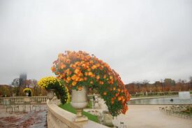 Люксембурзький сад (Jardin du Luxembourg)