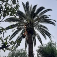 Orto botanico di Catania (Pagina Ufficiale)