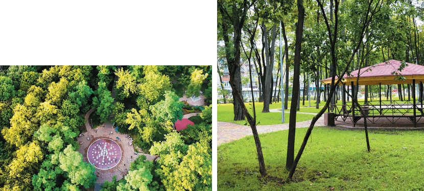Park-Syretsky-zelenbud-5-min