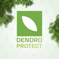 dendro_protect_6