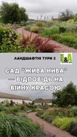 sad-jyva-nyva-vidpovid-na-viyny-krasoiu-800