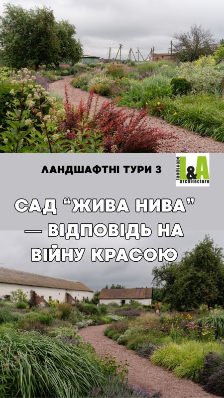 sad-jyva-nyva-vidpovid-na-viyny-krasoiu-800