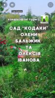 sad-kodaky-balshyk-ta-ivanov-min