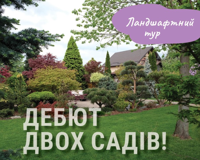 debiyt-dvoh-sadiv-tour-758